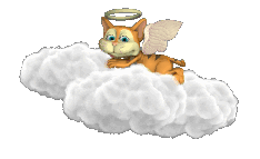 cat angel