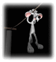 mouse mouse
